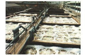 ◥◣粵綠◢◤東莞環評公司★★專業提供：東莞環評實措步驟，如何用環評參與宏觀調控！